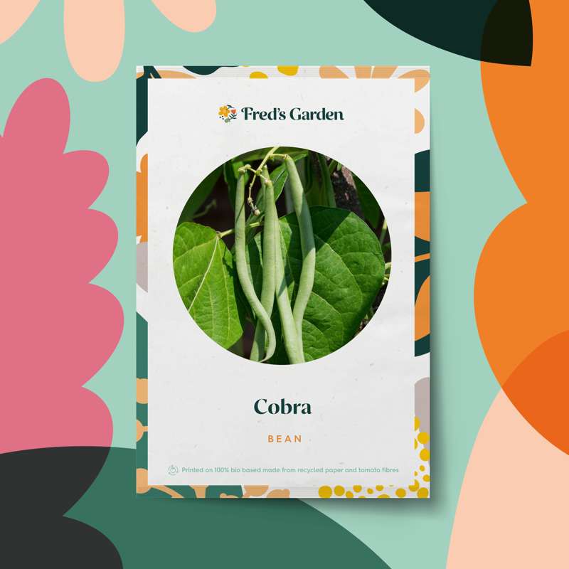 Bønne 'Cobra' (frø)